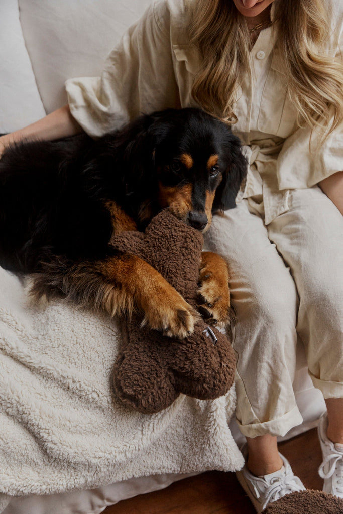 pet pillows