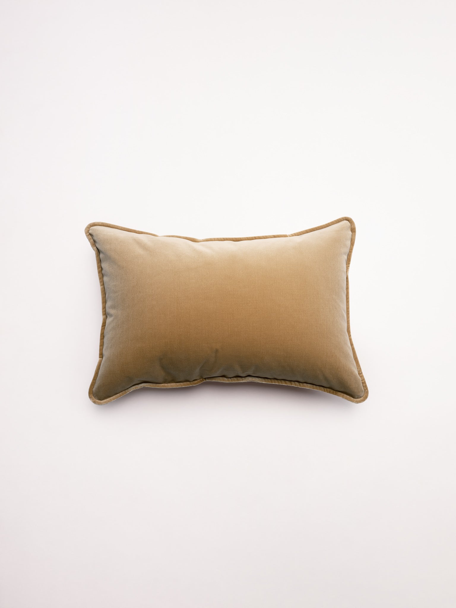 Lumbar Velvet - Latte Cushion