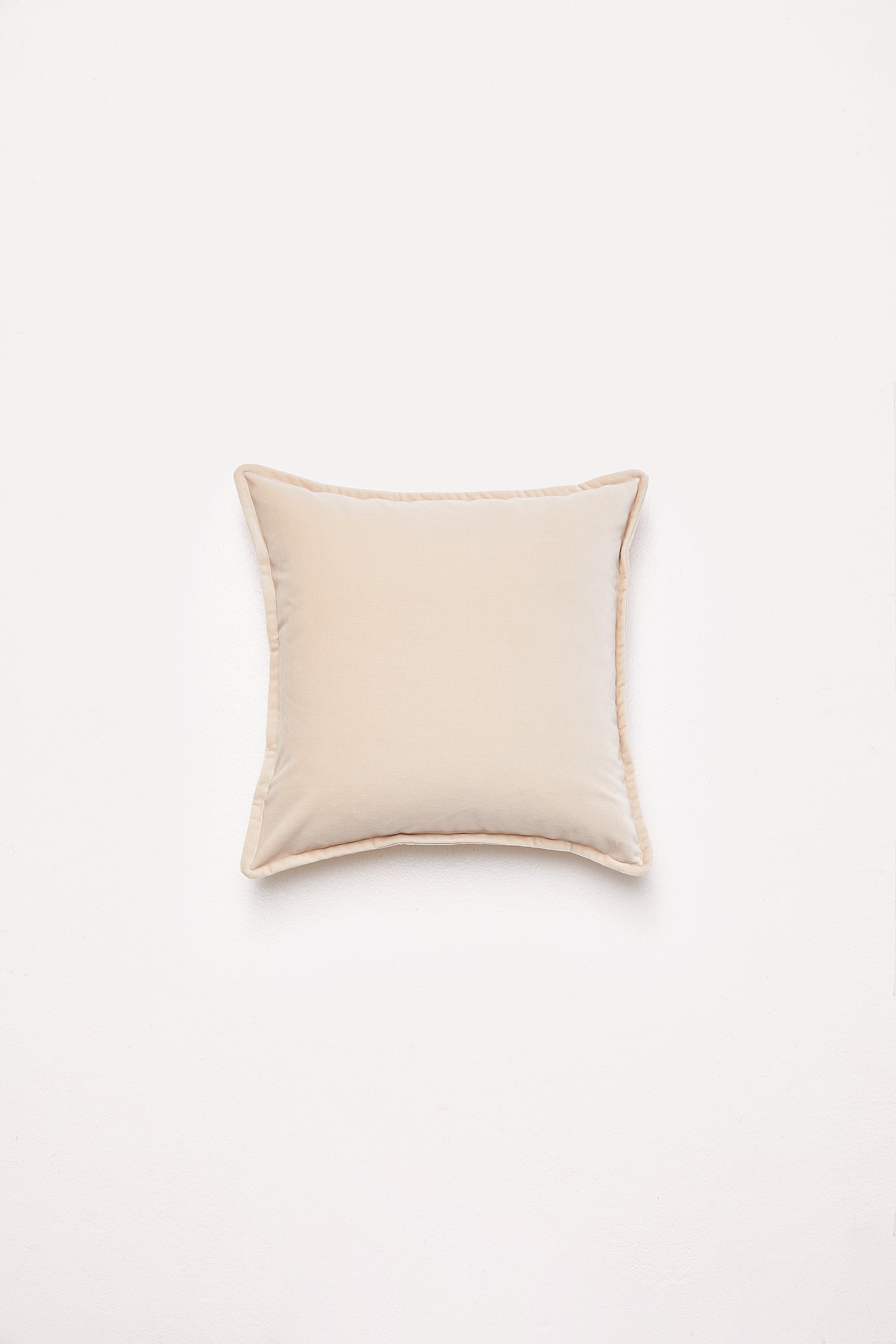Essential Velvet - French Fizz Cushion