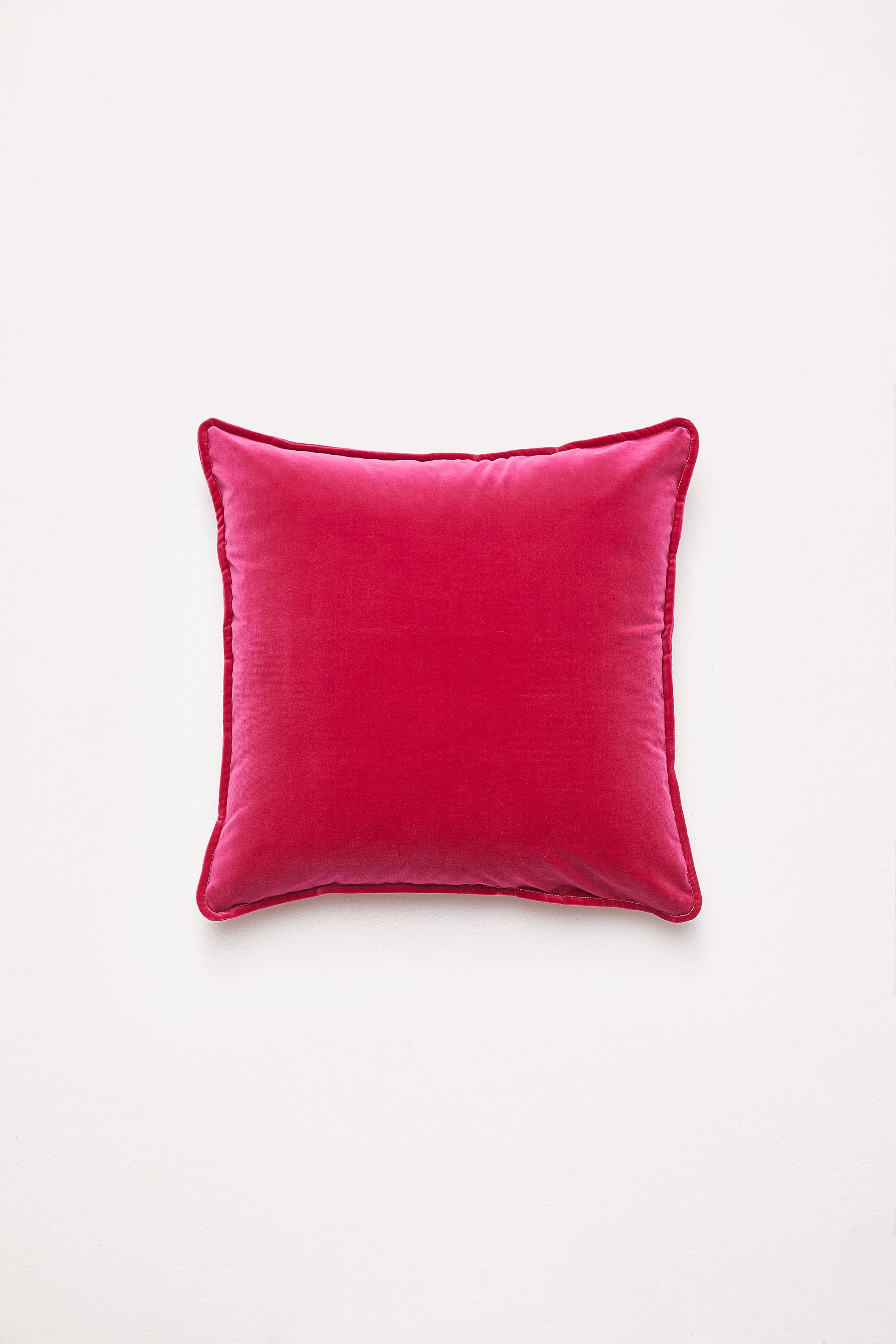 Big Velvet - Sass Cushion